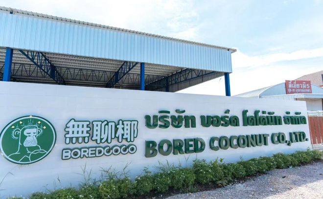 个子品牌茶百道巴黎首店开业麦当劳、小罐茶、乐高等品牌动态澳门新葡京网页阿里大文娱更名虎鲸文娱三只松鼠将孵化33(图6)
