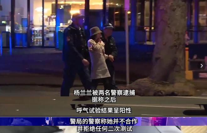 丢名牌鞋折返冷眼看受伤司机配文惹争议澳门新葡京网站杨兰兰车祸细节：弃车跑(图13)